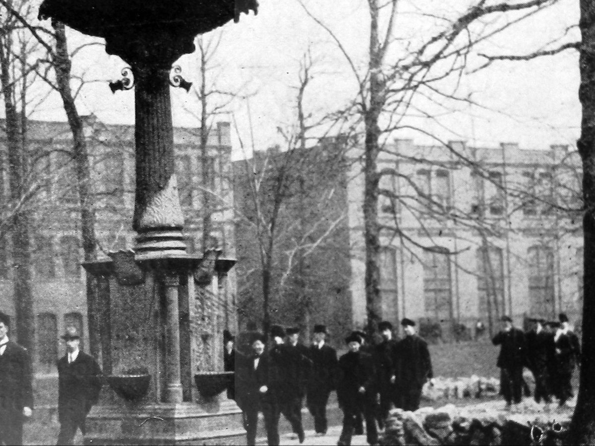 Announcing Woodlands Park: Ghost&nbsp;Landscape