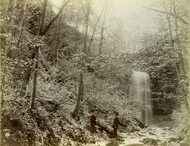 LHA 32022189118835 1890s